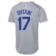 Youth Los Angeles Dodgers Shohei Ohtani Nike Gray Alternate Limited Jersey