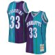 Men's Charlotte Hornets Alonzo Mourning Mitchell & Ness Teal/Purple Hardwood Classics 1992/93 Split Swingman Jersey