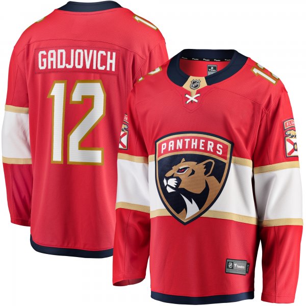 Men's Florida Panthers Jonah Gadjovich Fanatics Red  Premier Breakaway Player Jersey