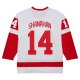 Men's Detroit Red Wings Brendan Shanahan Mitchell & Ness White  2001/02 Alternate Captain Blue Line Player Jersey