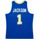 Men's Indiana Pacers Stephen Jackson Mitchell & Ness Royal  2004/05 Hardwood Classics Swingman Jersey