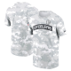 Men's Nike Arctic Camo Pittsburgh Steelers 2024 Salute To Service Performance T-Shirt