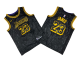 Men's Los Angeles Lakers #23 Serpentine City LeBron James Mitchell and Ness Stitched NBA Jersey